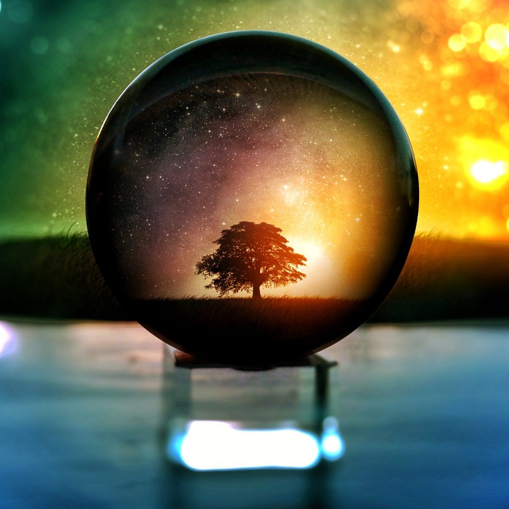 Дерево  отражается в стеклянном шаре