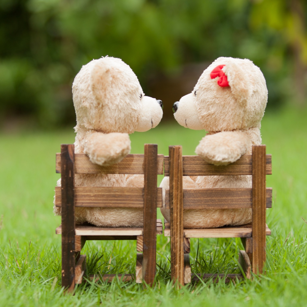 Два плюшевых мишки на деревянных креслах на зеленой траве