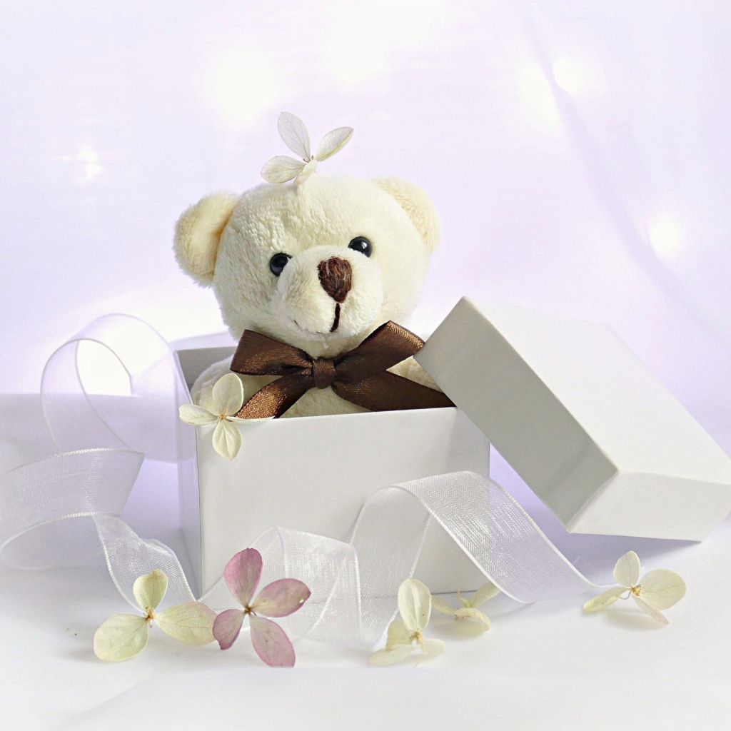 Белый плюшевый медведь в подарочной коробке