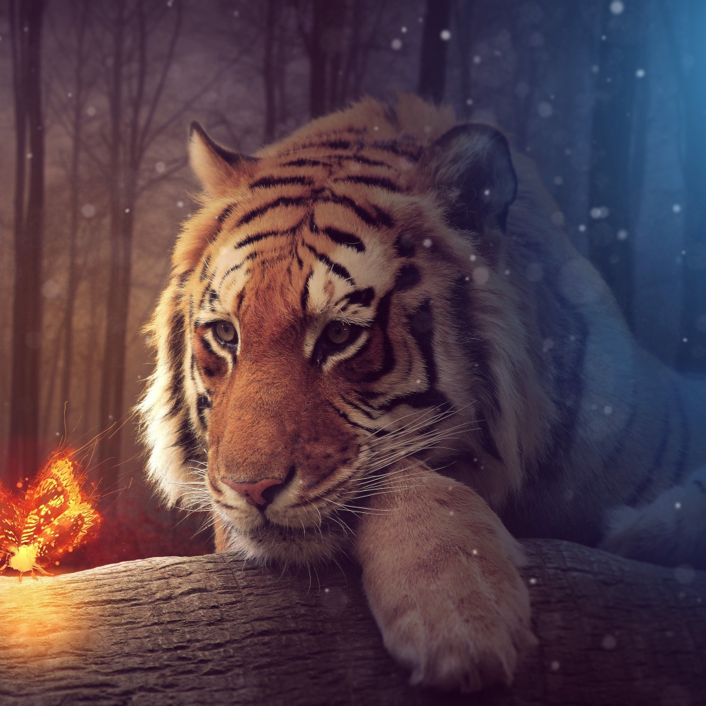 Большой тирг с волшебной огненной бабочкой, фэнтези