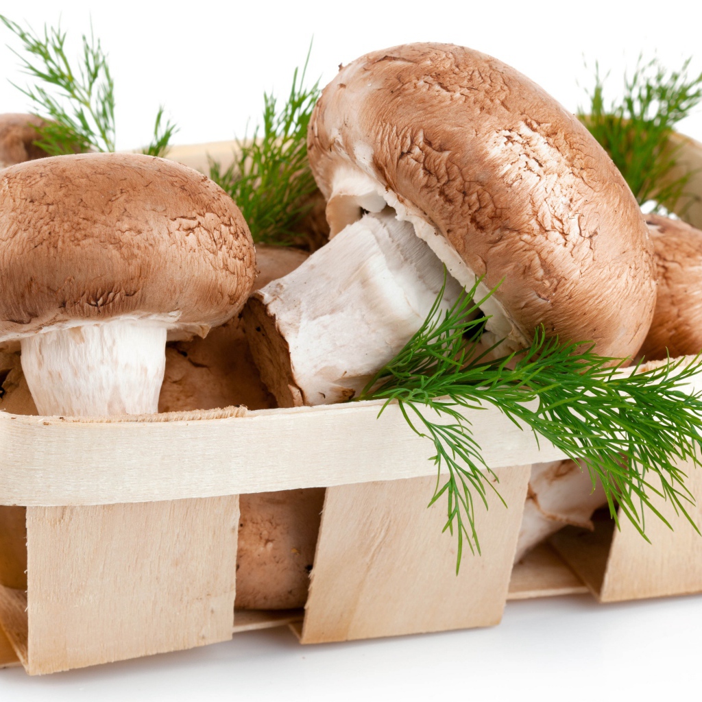 Грибы шампиньоны в деревянной корзине с укропом на белом фоне