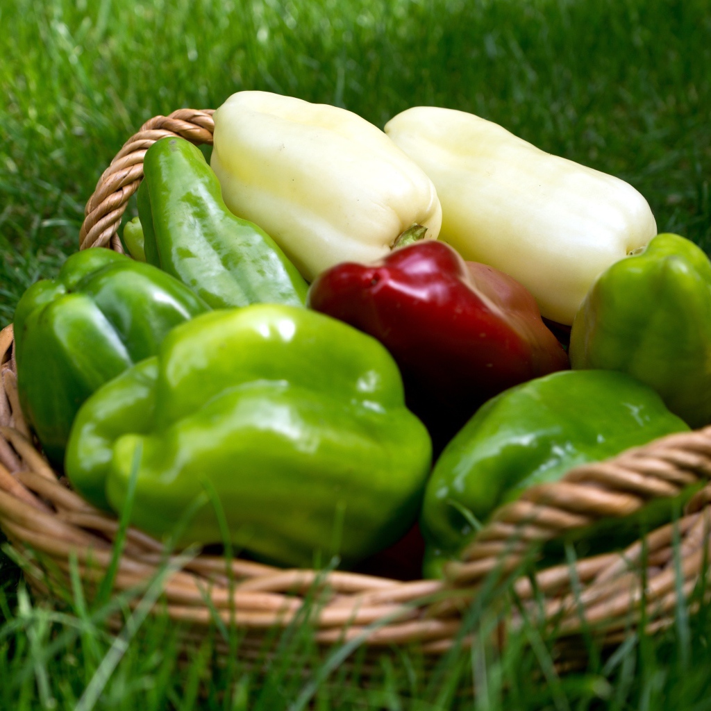 Разноцветный сладкий перец в корзинке стоит на зеленой траве