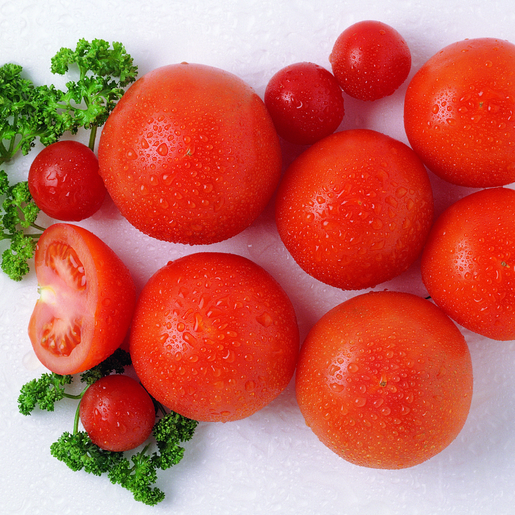 Спелые красные помидоры с зеленью петрушки в каплях воды