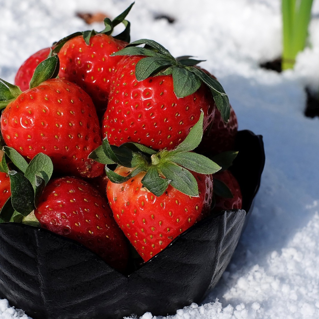 Тарелка со спелой красной клубникой стоит на белом снегу