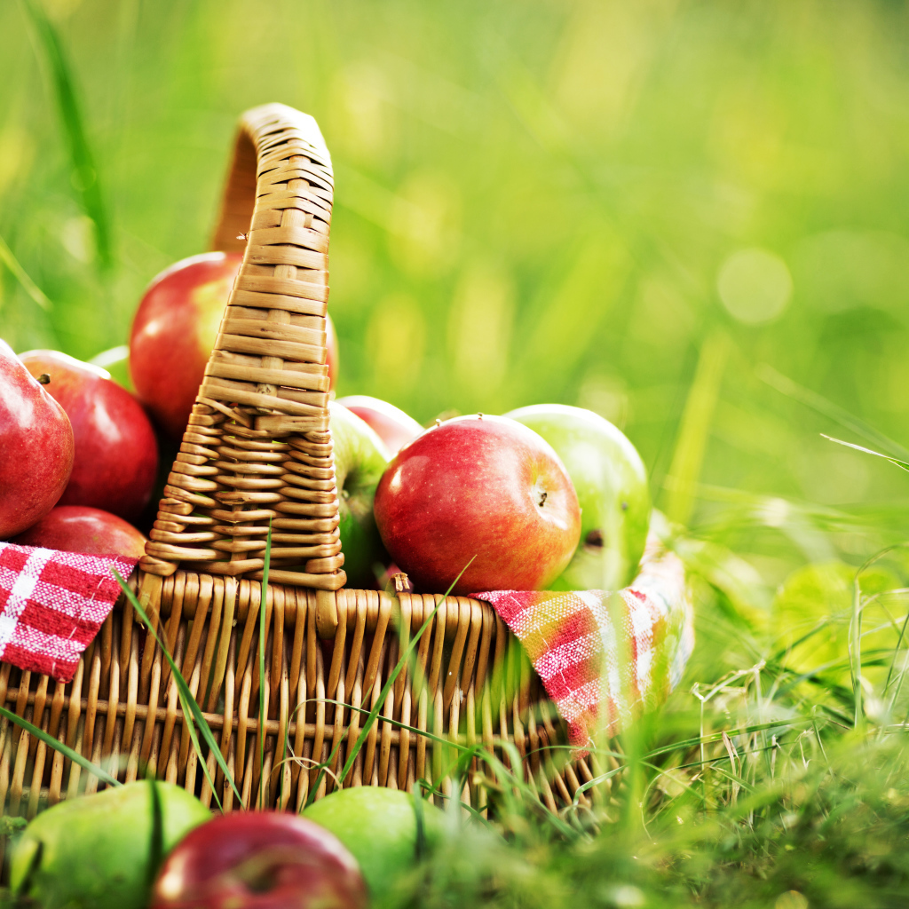 Корзина красных яблок стоит на зеленой траве