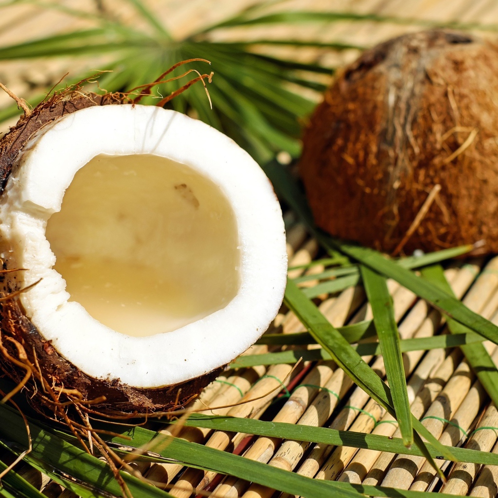 Разбитый кокос лежит на зеленых пальмовых листьях