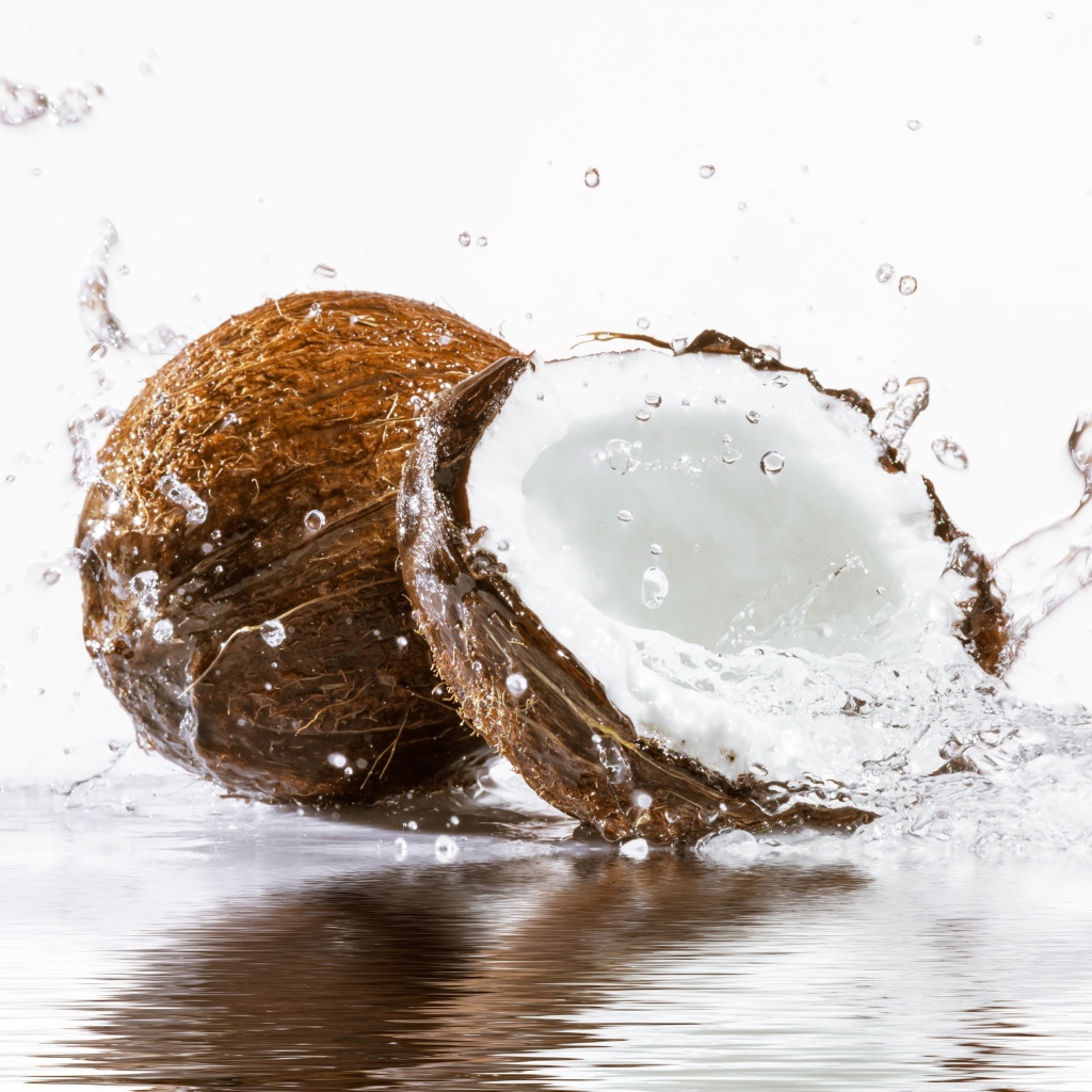 Кокосы в воде на белом фоне