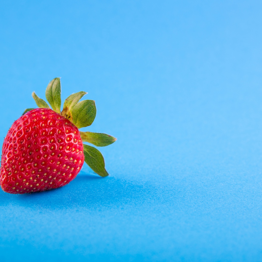Красная спелая клубника на голубом фоне