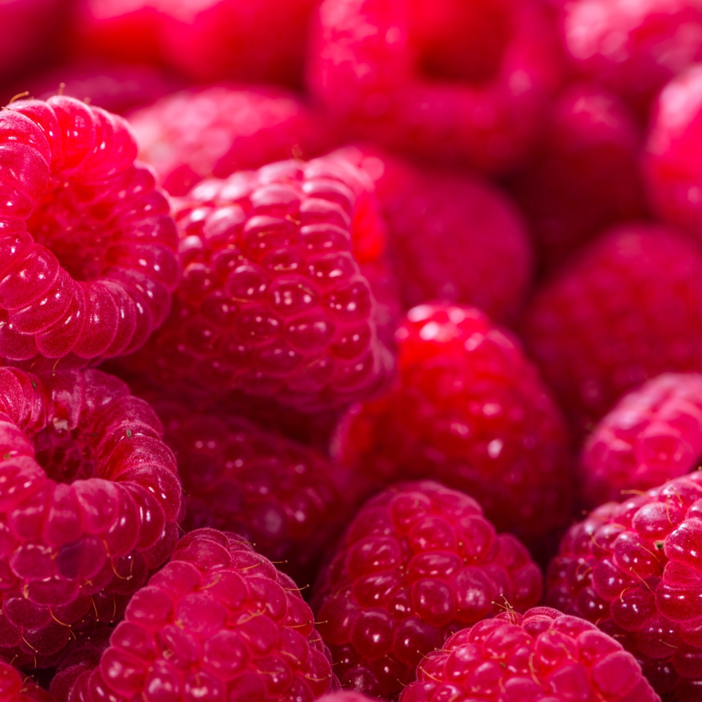 Спелая сочная малина крупным планом