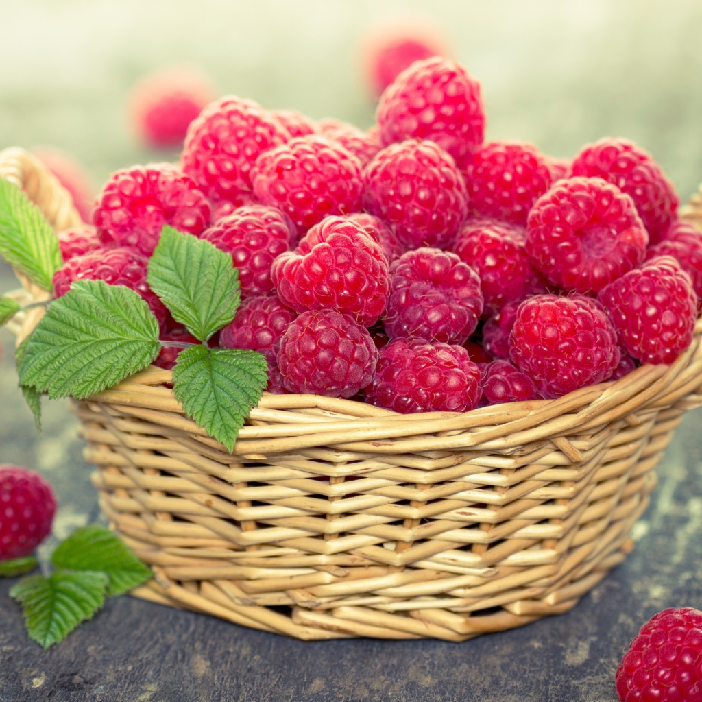 Спелая красная малина в корзине