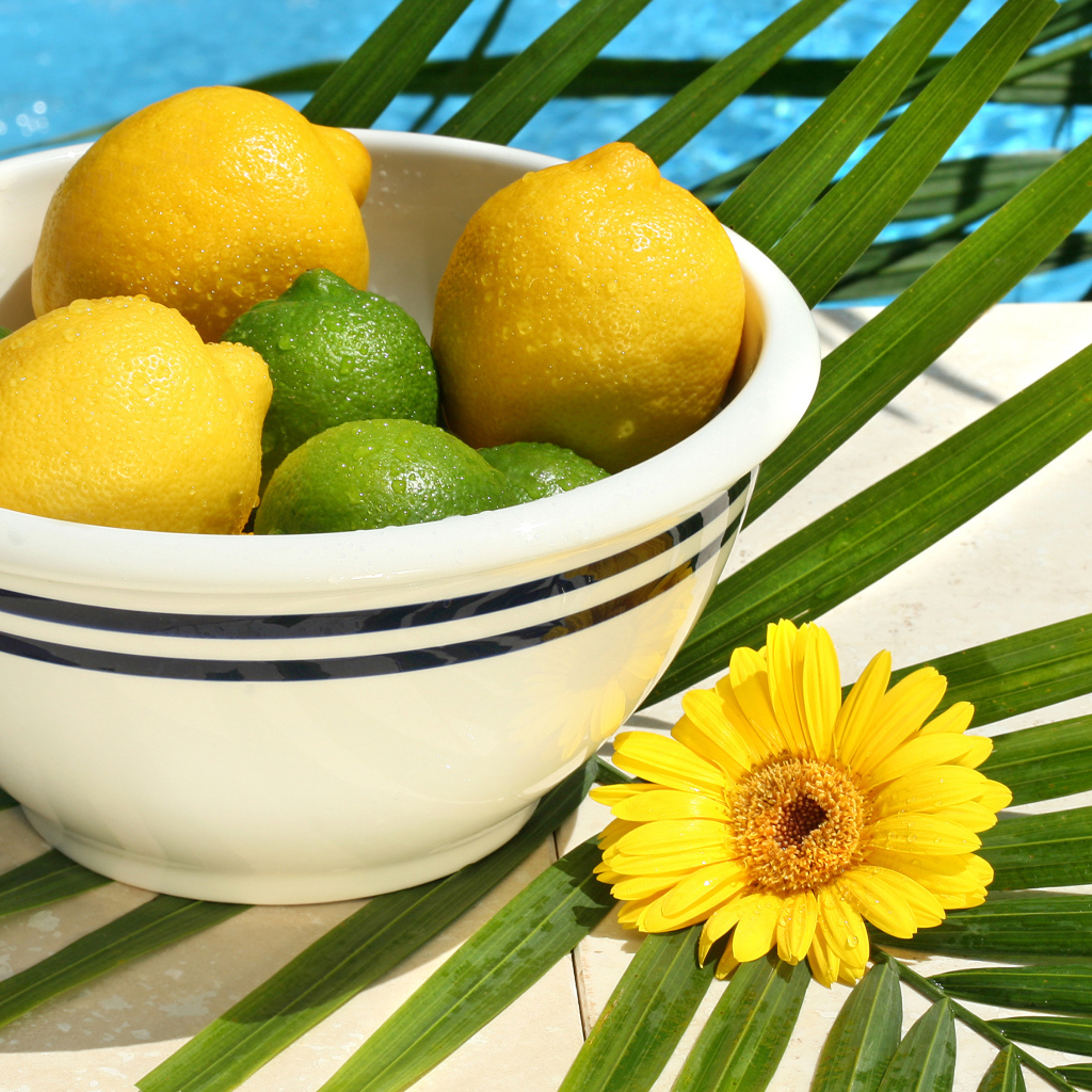 Желтые лимоны и зеленые лаймы в каплях воды на столе с пальмовым листом и цветком герберы