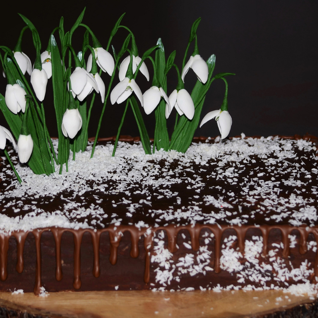 Шоколадный торт с кокосовой стружкой и цветами подснежника