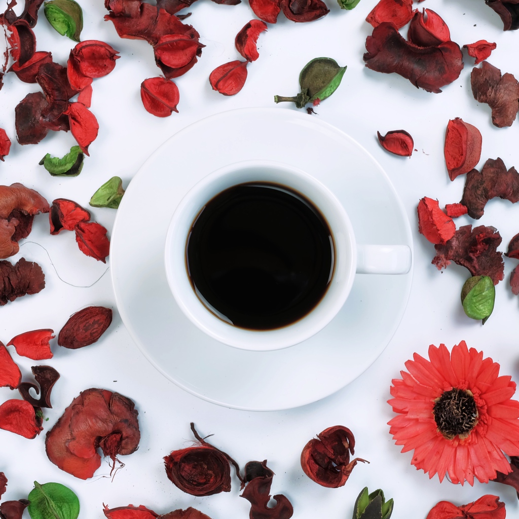 Чашка кофе на белой поверхности с сухими лепестками 