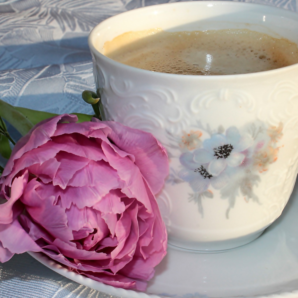 Чашка кофе с розовым цветком пиона и белыми цветами