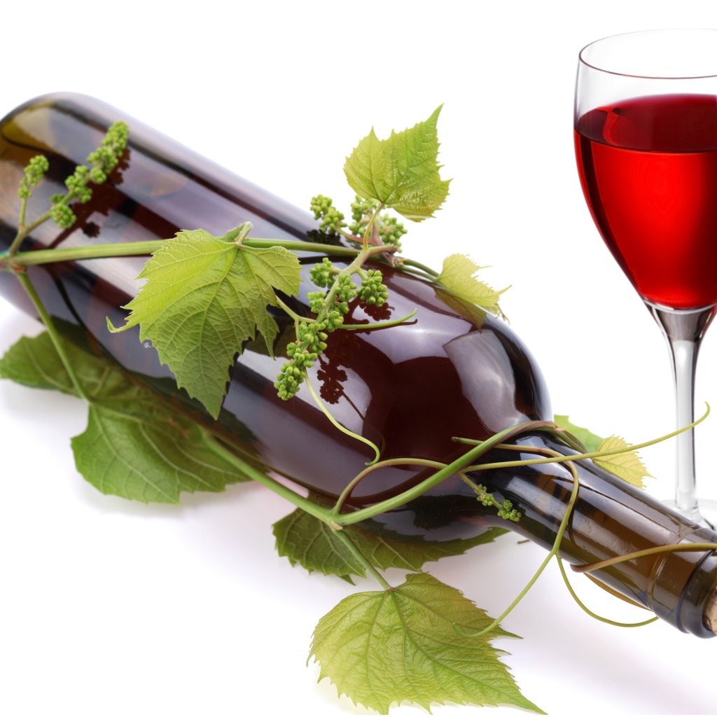 Бутылка вина в виноградной лозе с бокалом на белом фоне