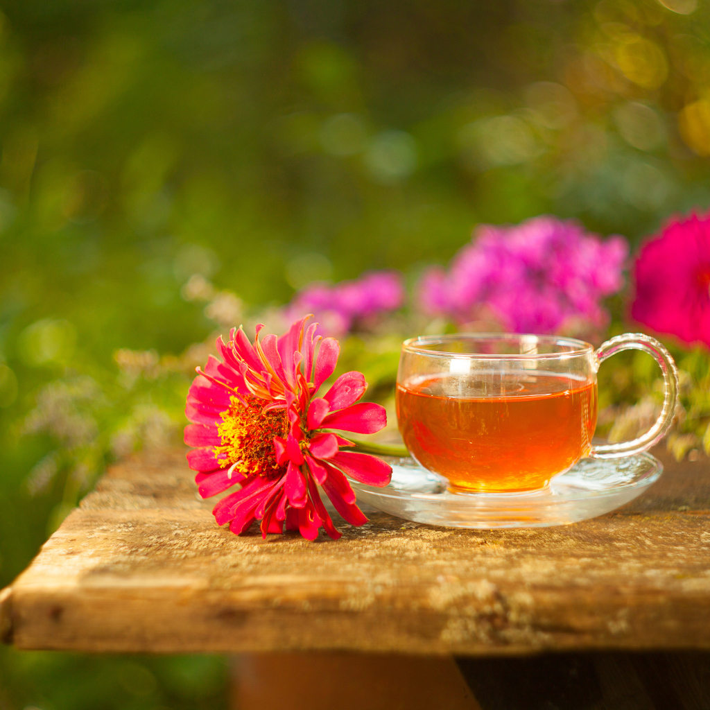 Стеклянная чашка чая на столе с цветком циннии
