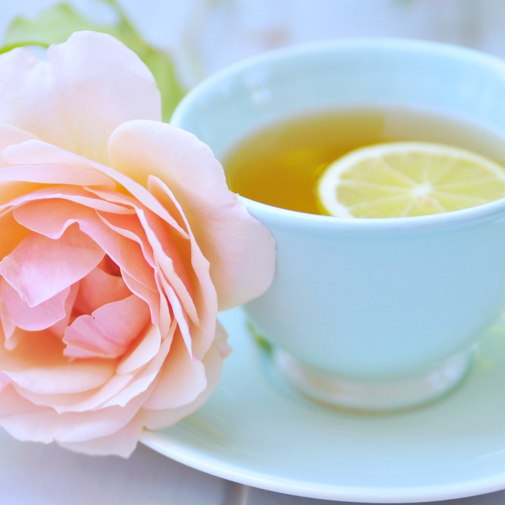 Белая чашка чая с лимоном и розовой розой