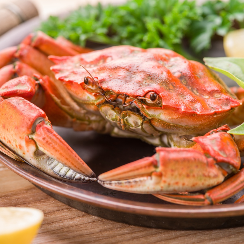 Большой вареный краб на тарелке с листьями салата