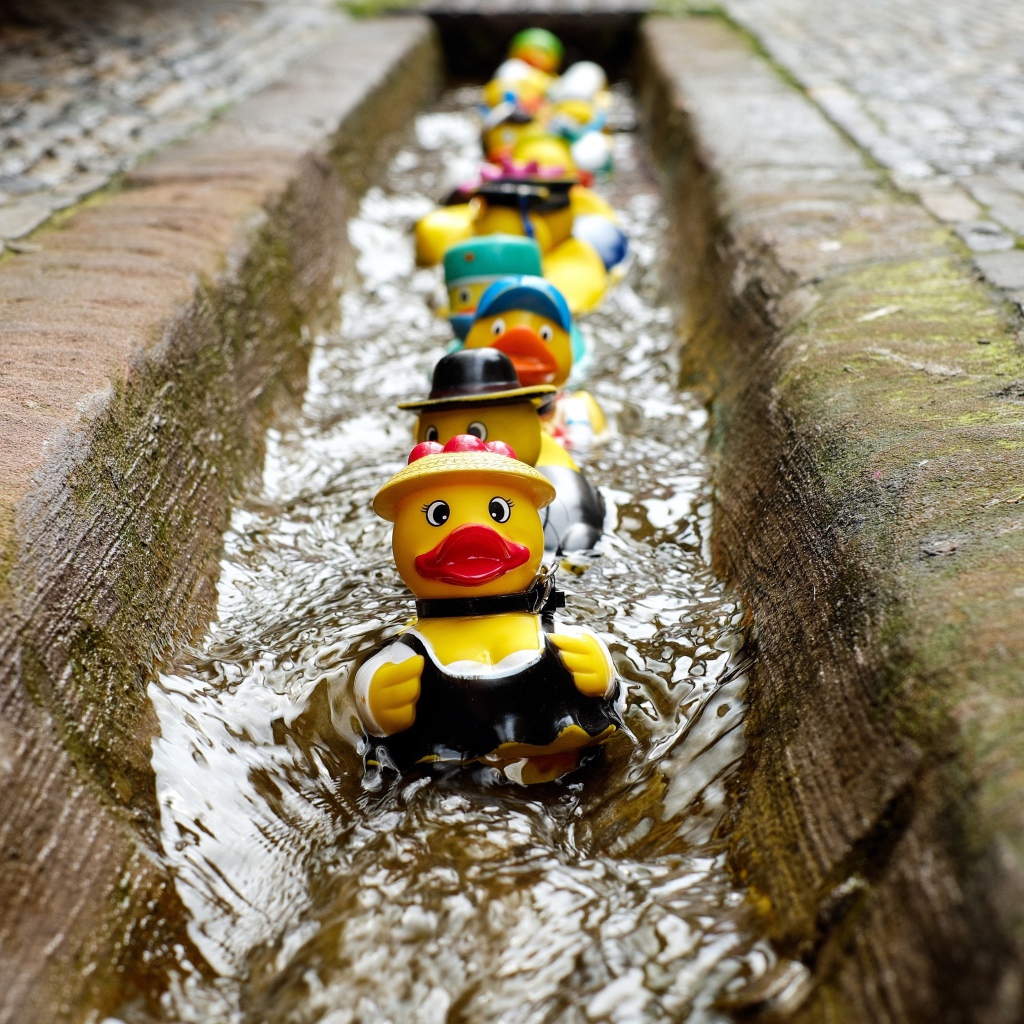 Игрушки утята в водосточной канаве