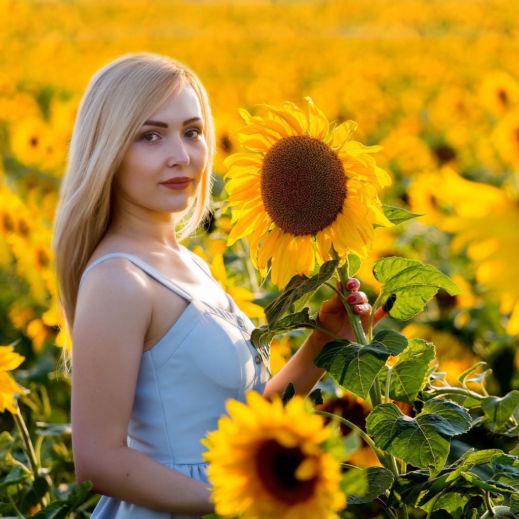 Красивая блондинка в цветущих подсолнухах 