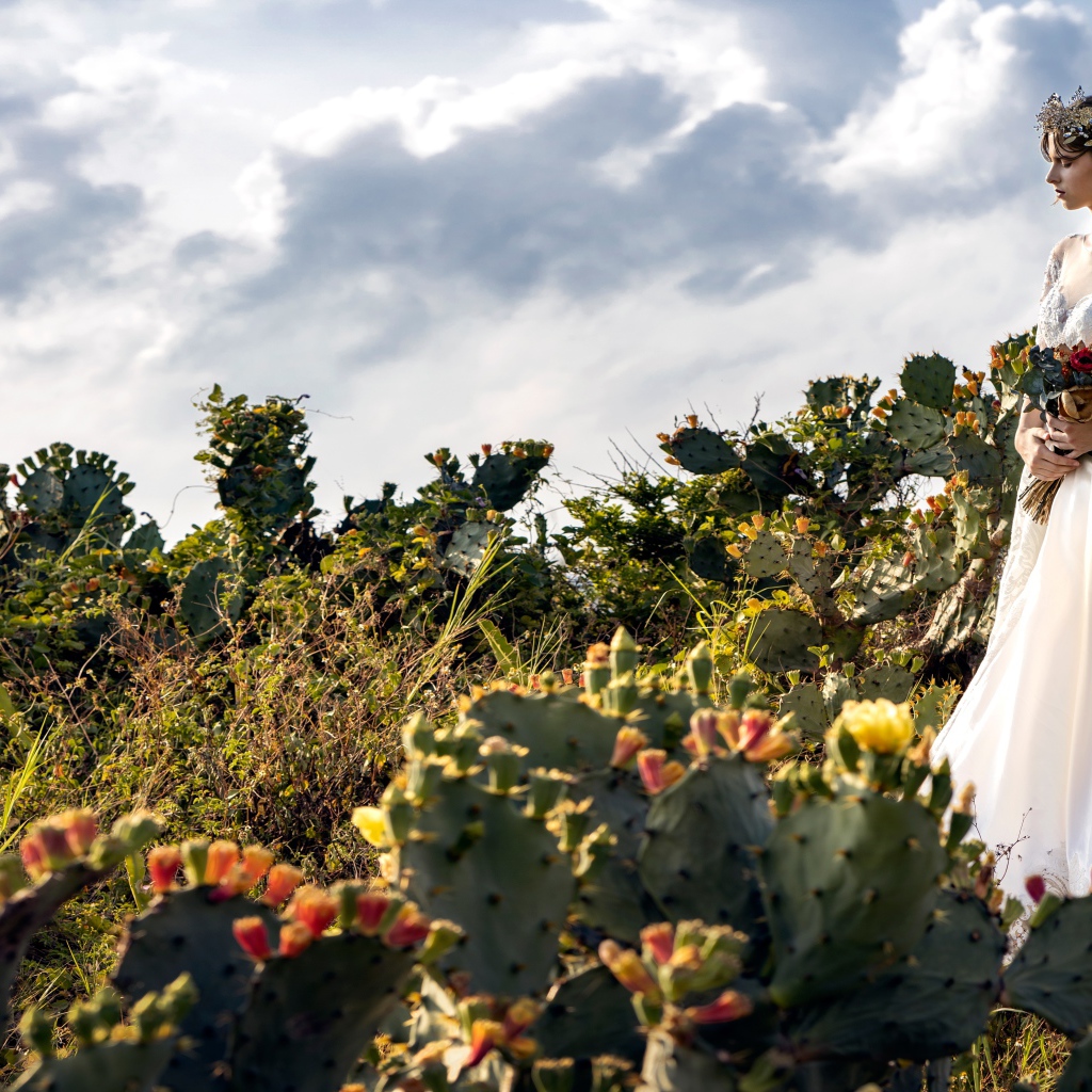 Красивая девушка в белом свадебном платье на поле с кактусами