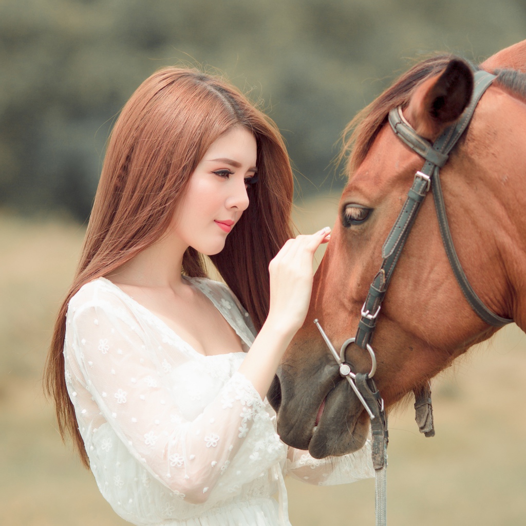 Красивая длинноволосая азиатка гладит лошадь