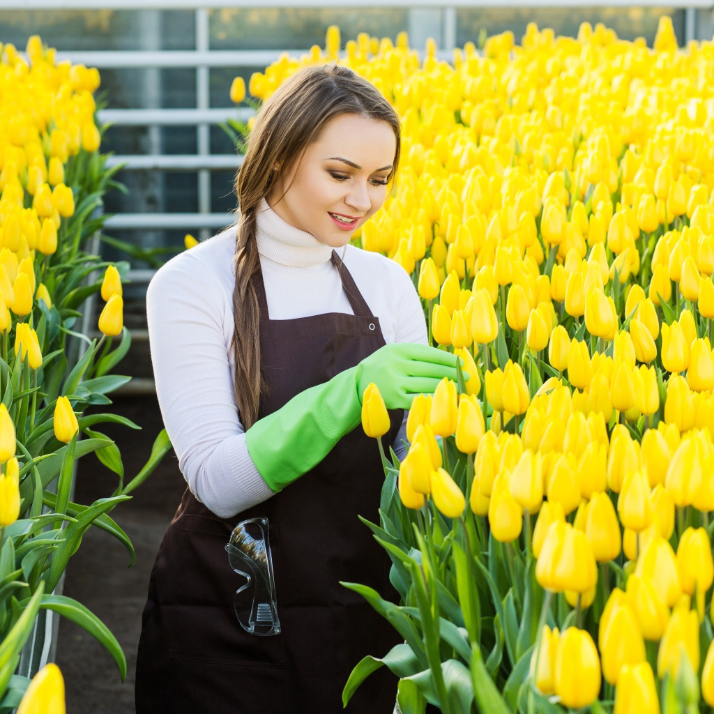 Красивая молодая девушка ухаживает за желтыми тюльпанами