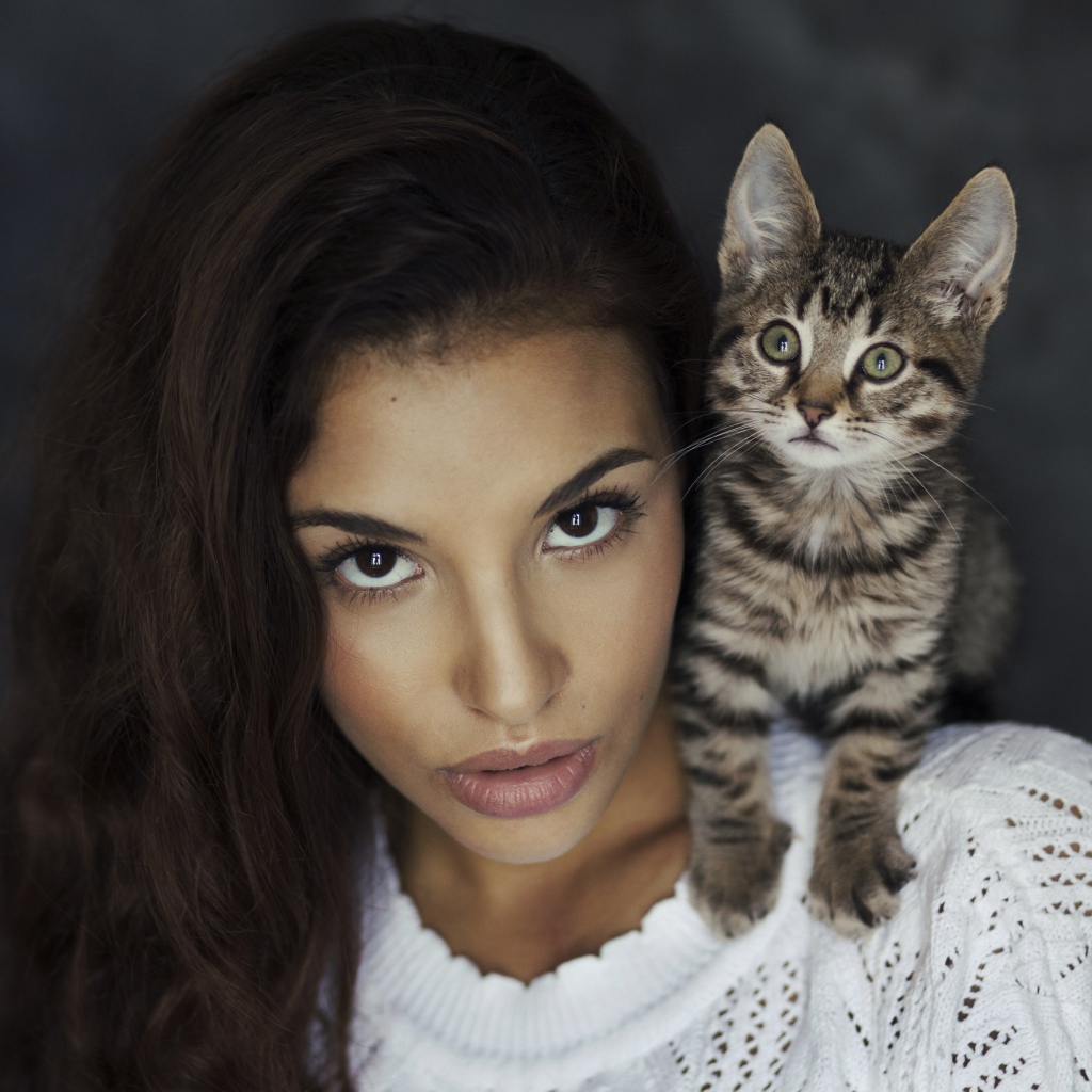 Молодая красивая девушка с серым котенком на плече