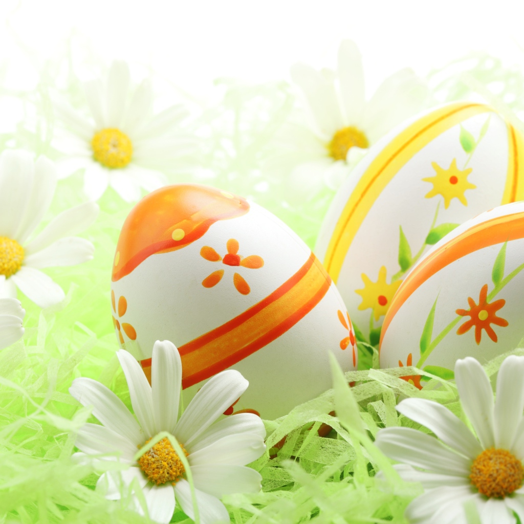 Раскрашенные пасхальные яйца и ромашки на Пасху