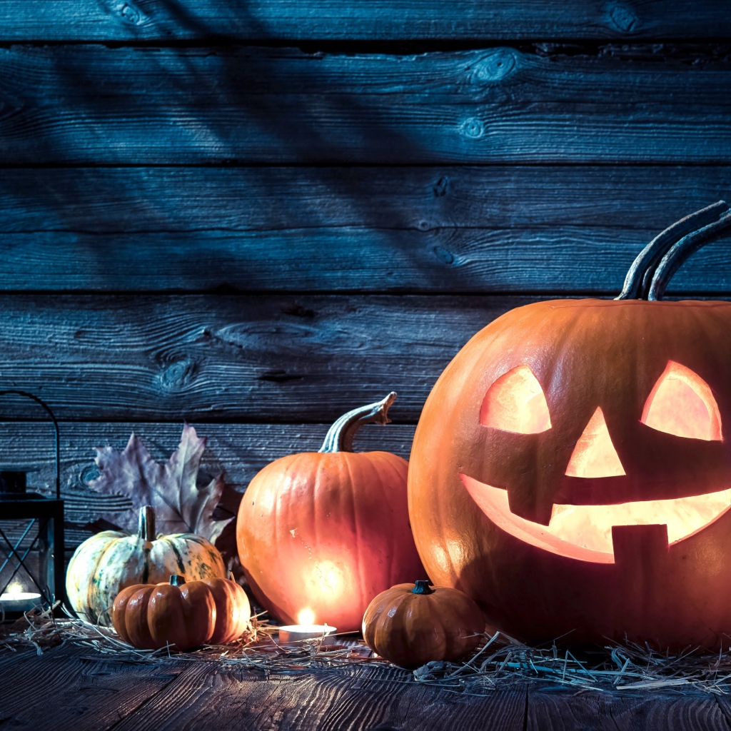 Тыквы на праздник Хэллоуин, 31 октября