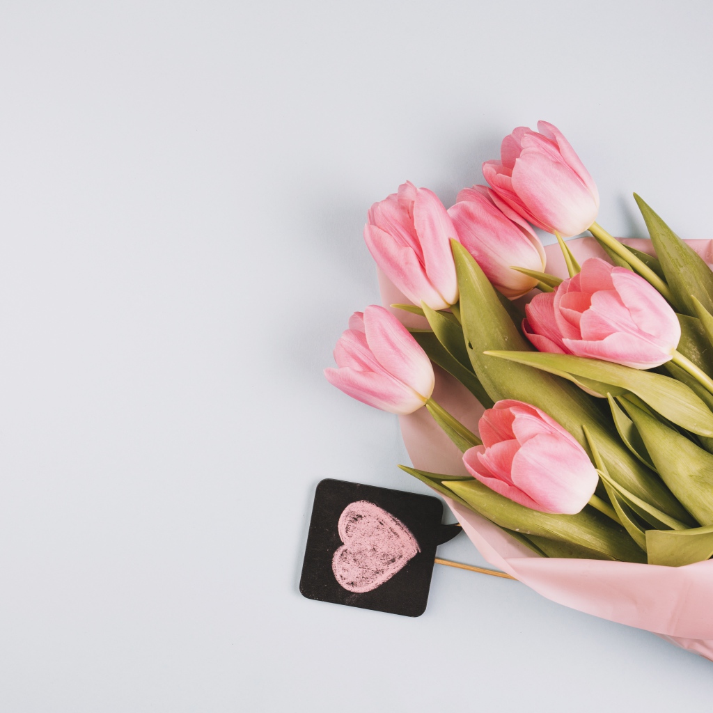 A bouquet of pink tulips on a gray background, a template for postcards for March 8