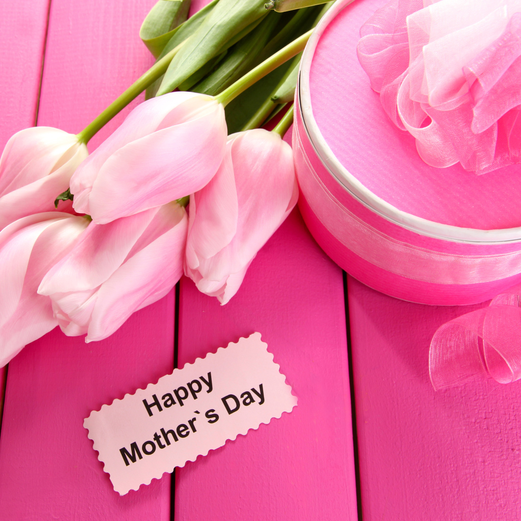 Beautiful pink tulips with a gift and flowers for International Women's Day March 8