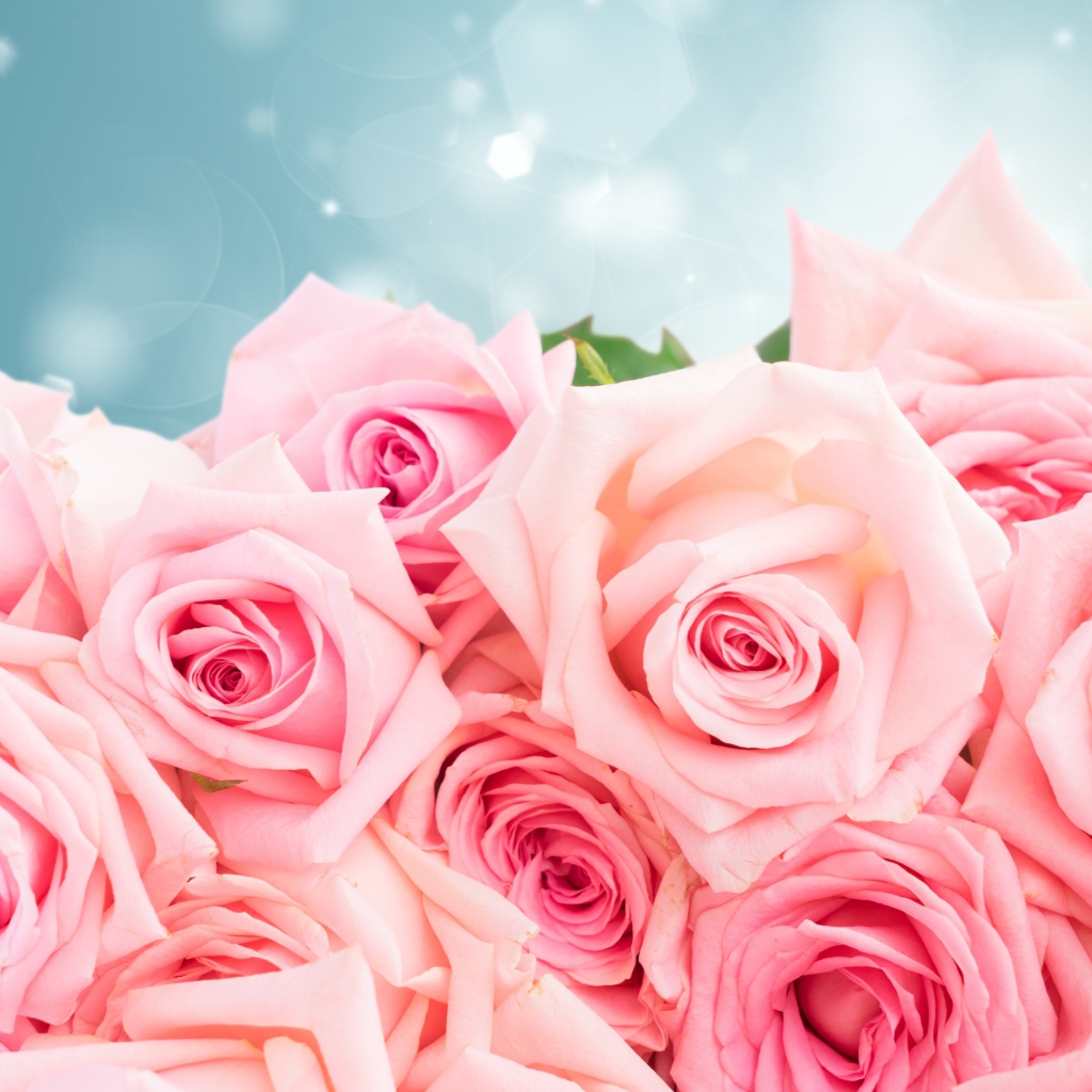 Большой красивый букет розовых роз в подарок на 8 марта