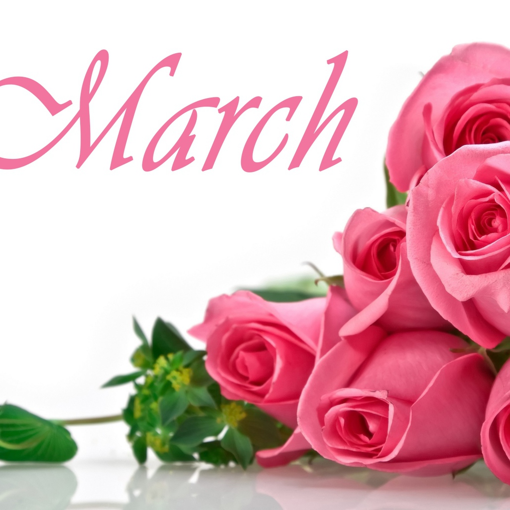 Букет розовых роз на белом фоне на 8 марта