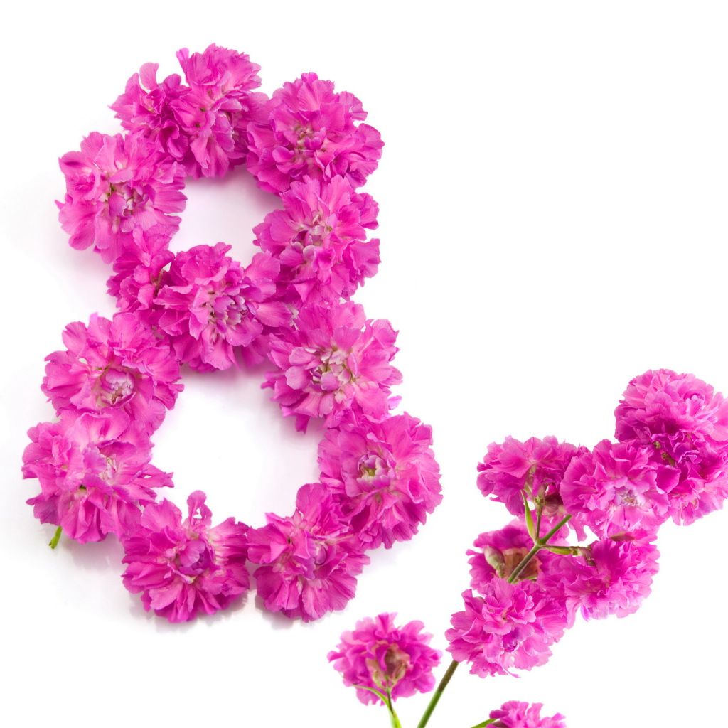 Восьмерка из розовых цветов гвоздики на Международный женский день 8 марта