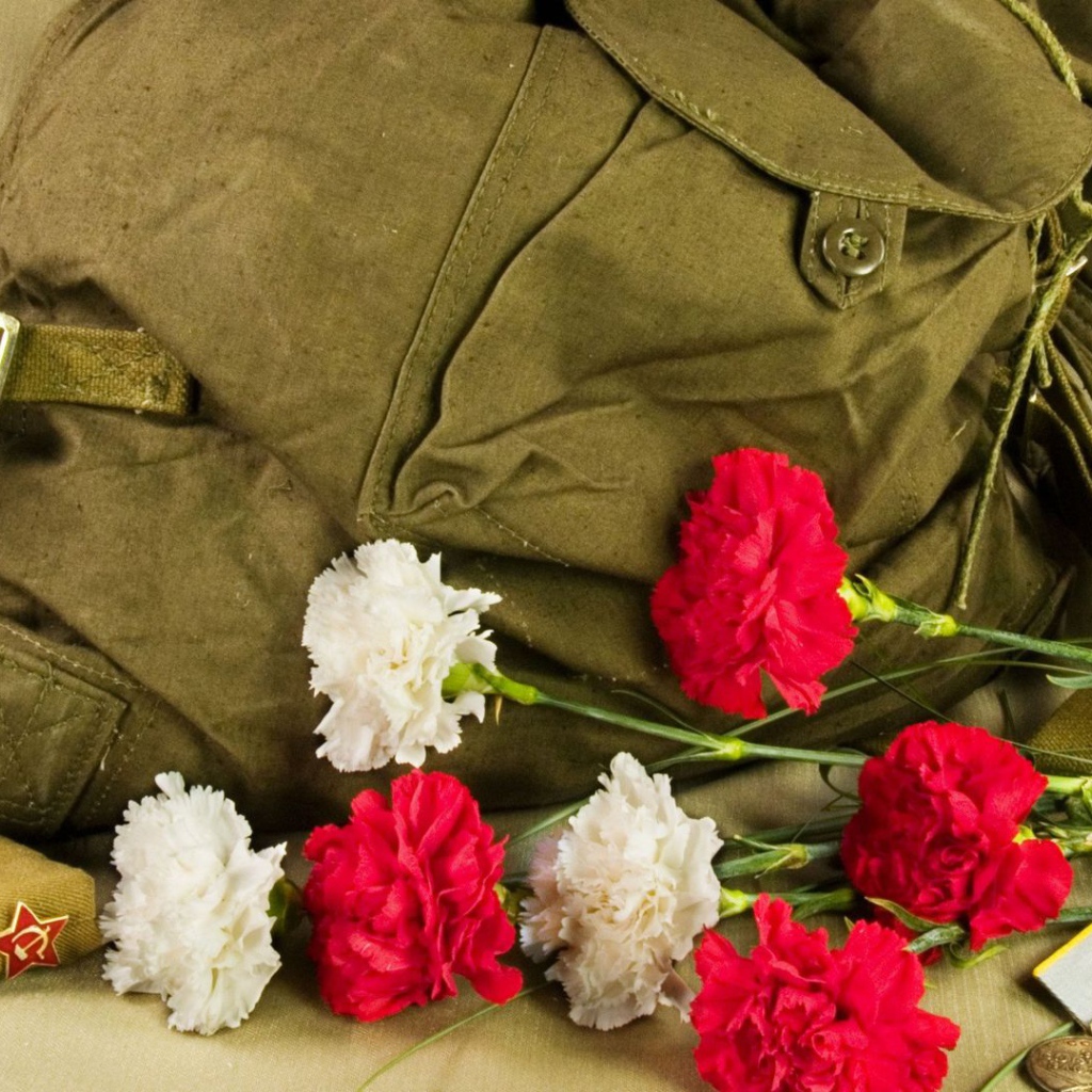Рюкзак, букет гвоздик и орден на 9 мая