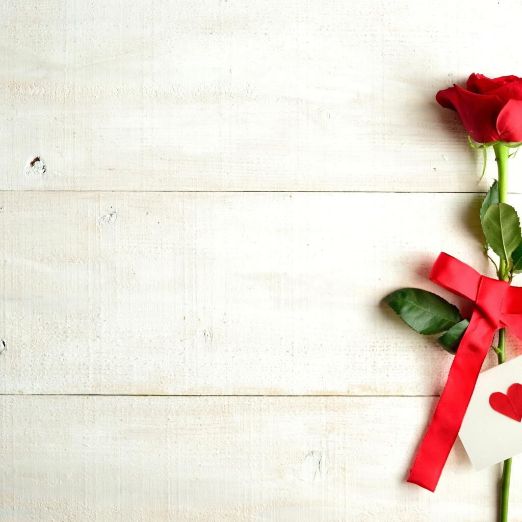 Красная роза и валентинка на белом фоне, шаблон для поздравительной открытки на День Святого Валентина