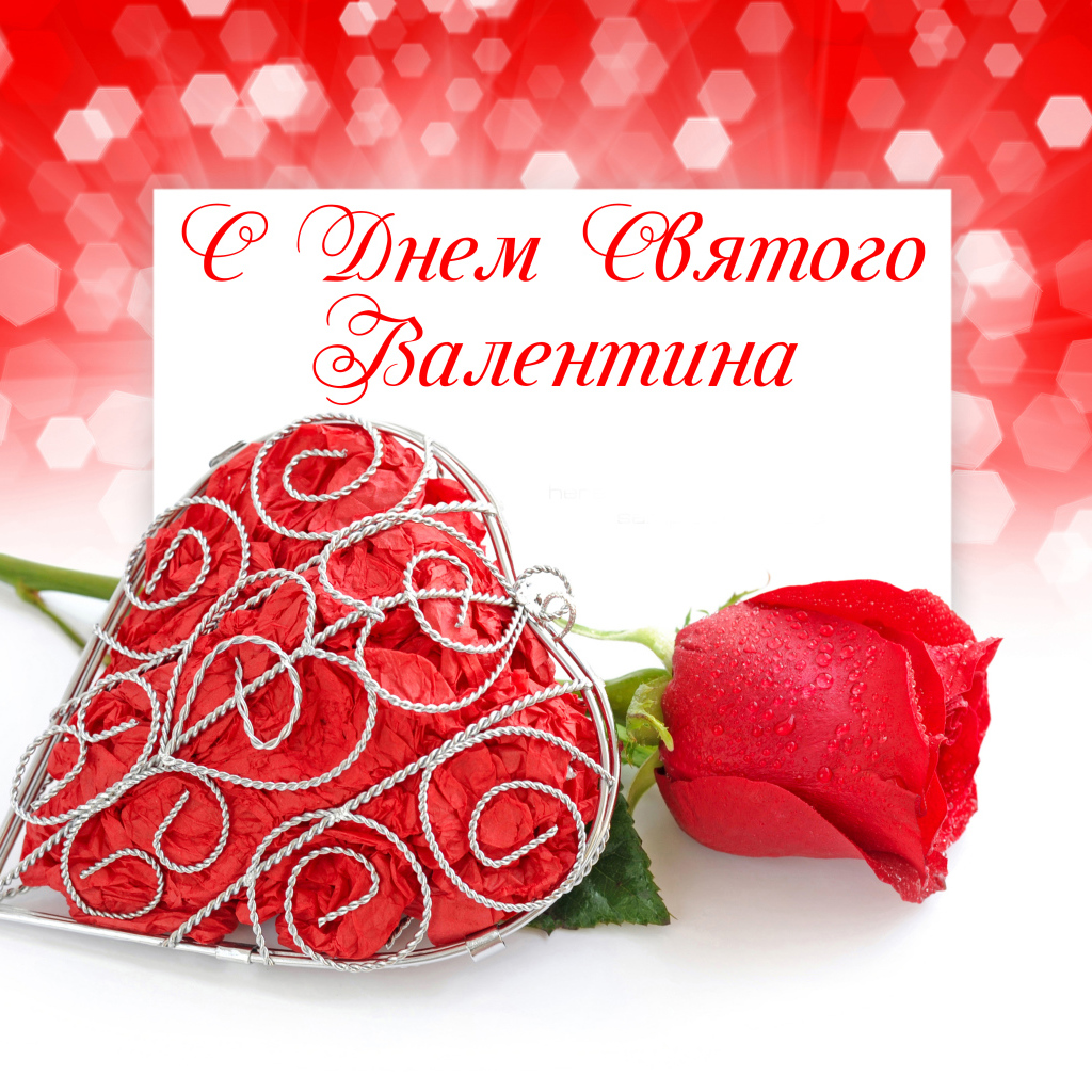 Красная роза и большое красное сердце на День Святого Валентина