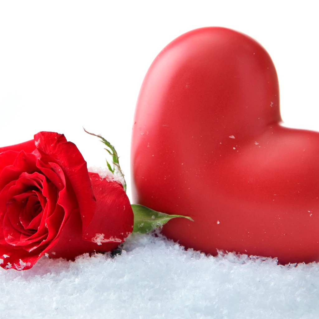 Большое красное сердце с красной розой на снегу