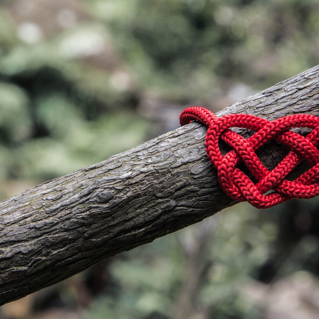 Креативное сердце из красной веревки на дереве