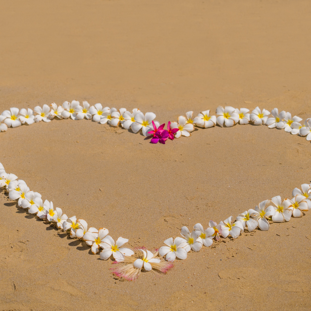Сердце из цветов плюмерии на песке