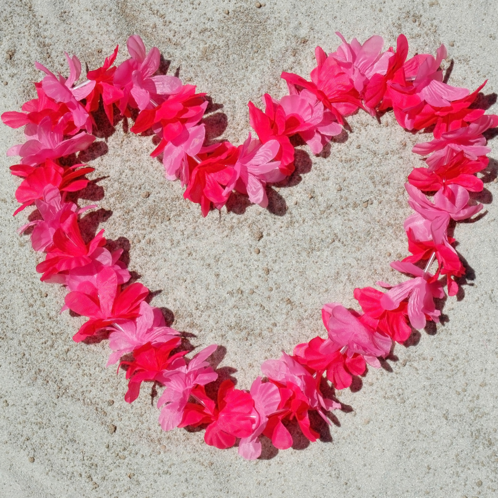 Сердце из розовых цветов на песке