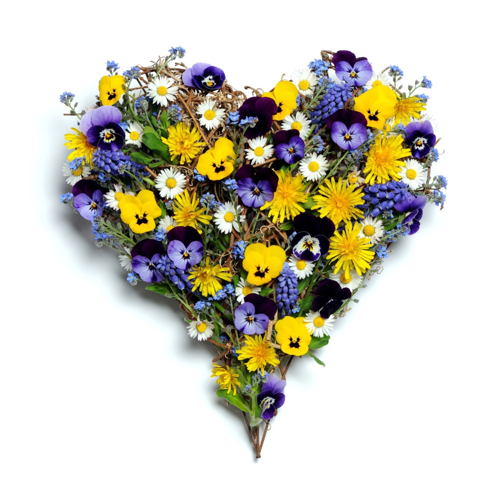 Сердце из полевых цветов на белом фоне