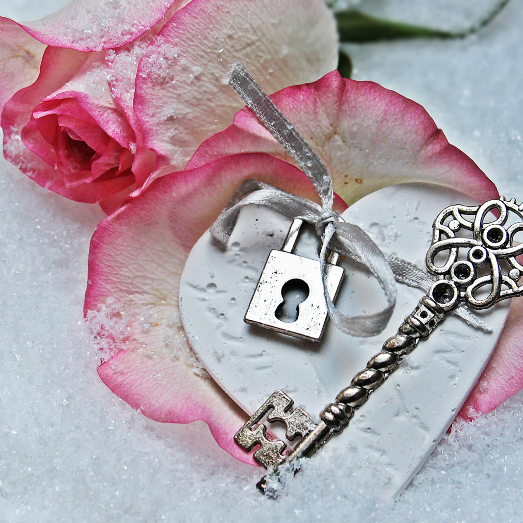 Розовая роза лежит на снегу с ключом