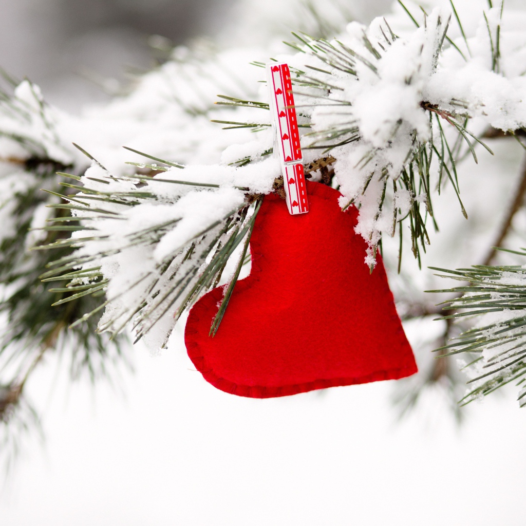 Красное сердечно висит на покрытой снегом сосновой ветке