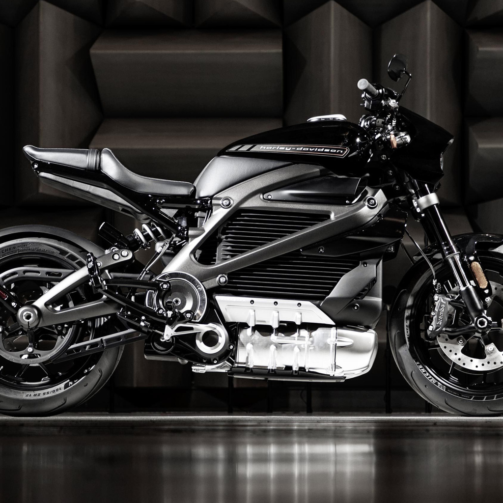 Дорогой электрический мотоцикл  Harley-Davidson, 2020 
