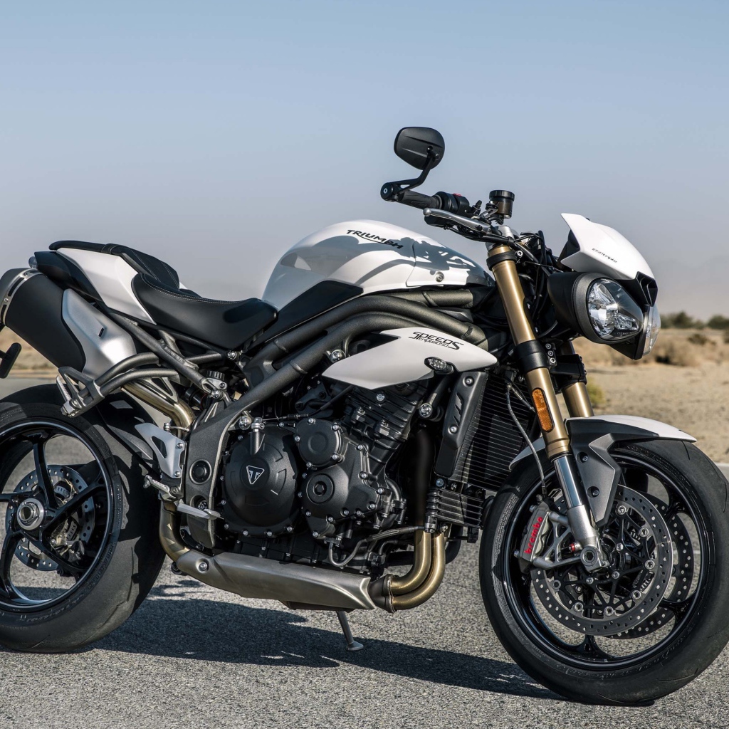 Motorcycle Triumph Speed Triple S, 2018 on the road