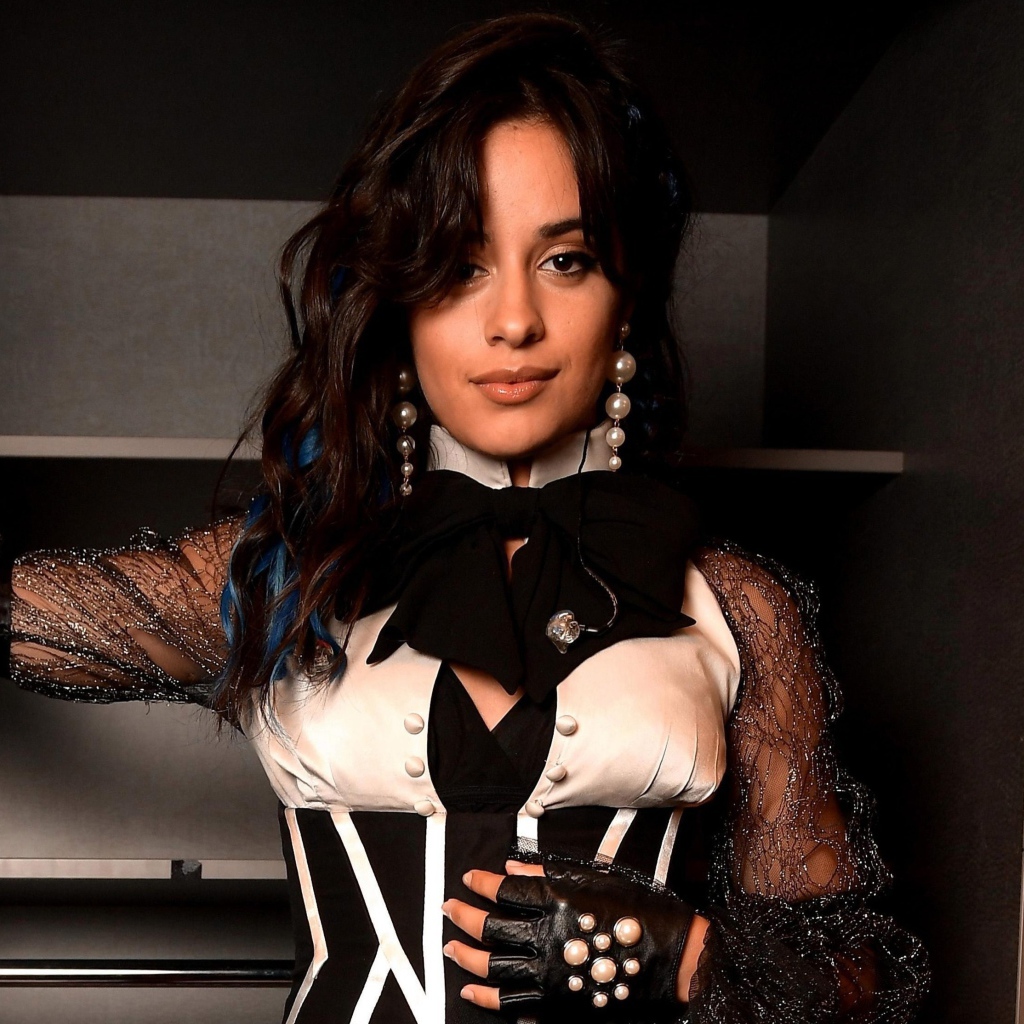 Красивая брюнетка, певица Камила Кабельо