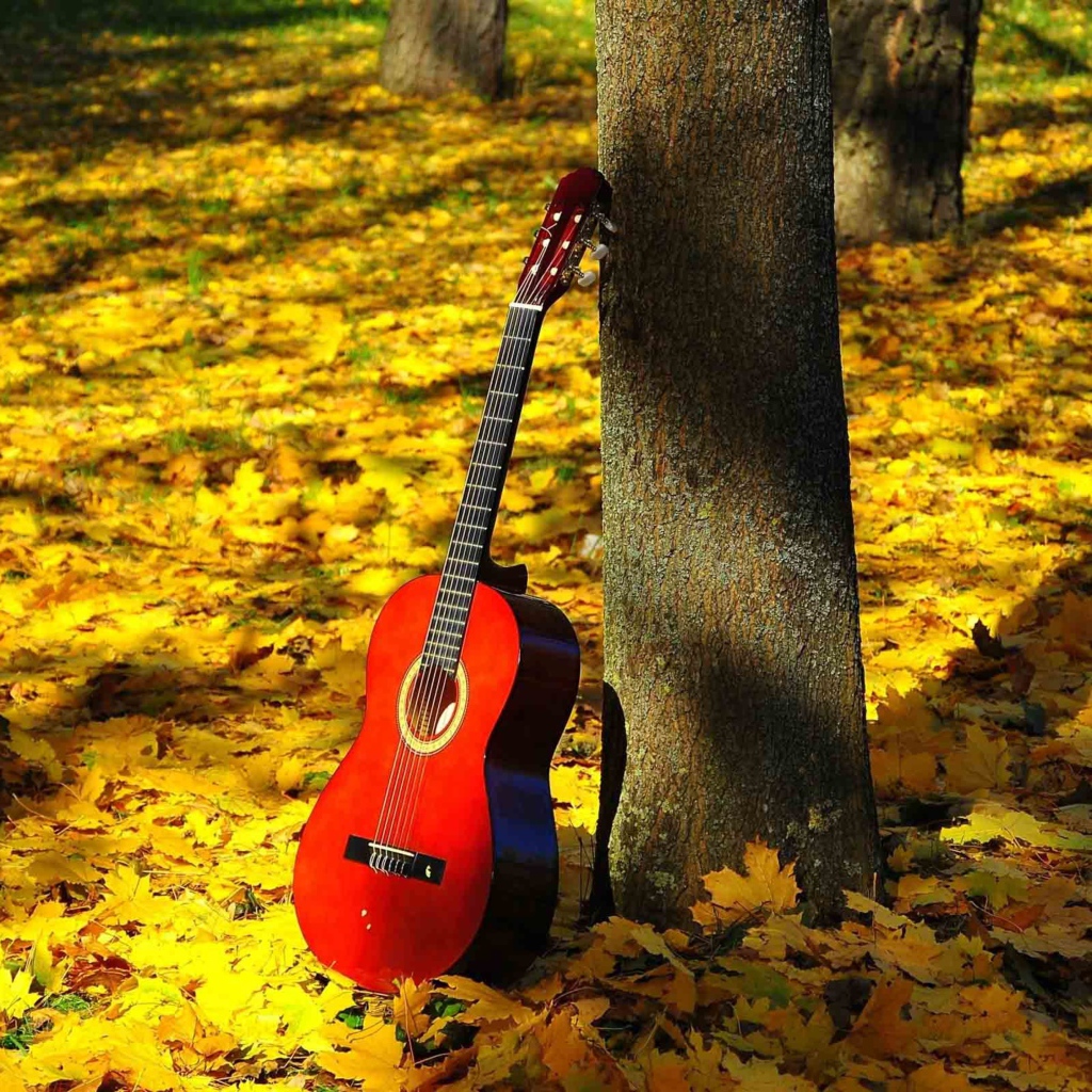 Красная гитара стоит у дерева на опавшей листве осенью 
