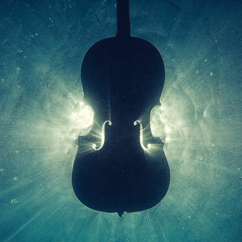 Скрипка тонет в воде